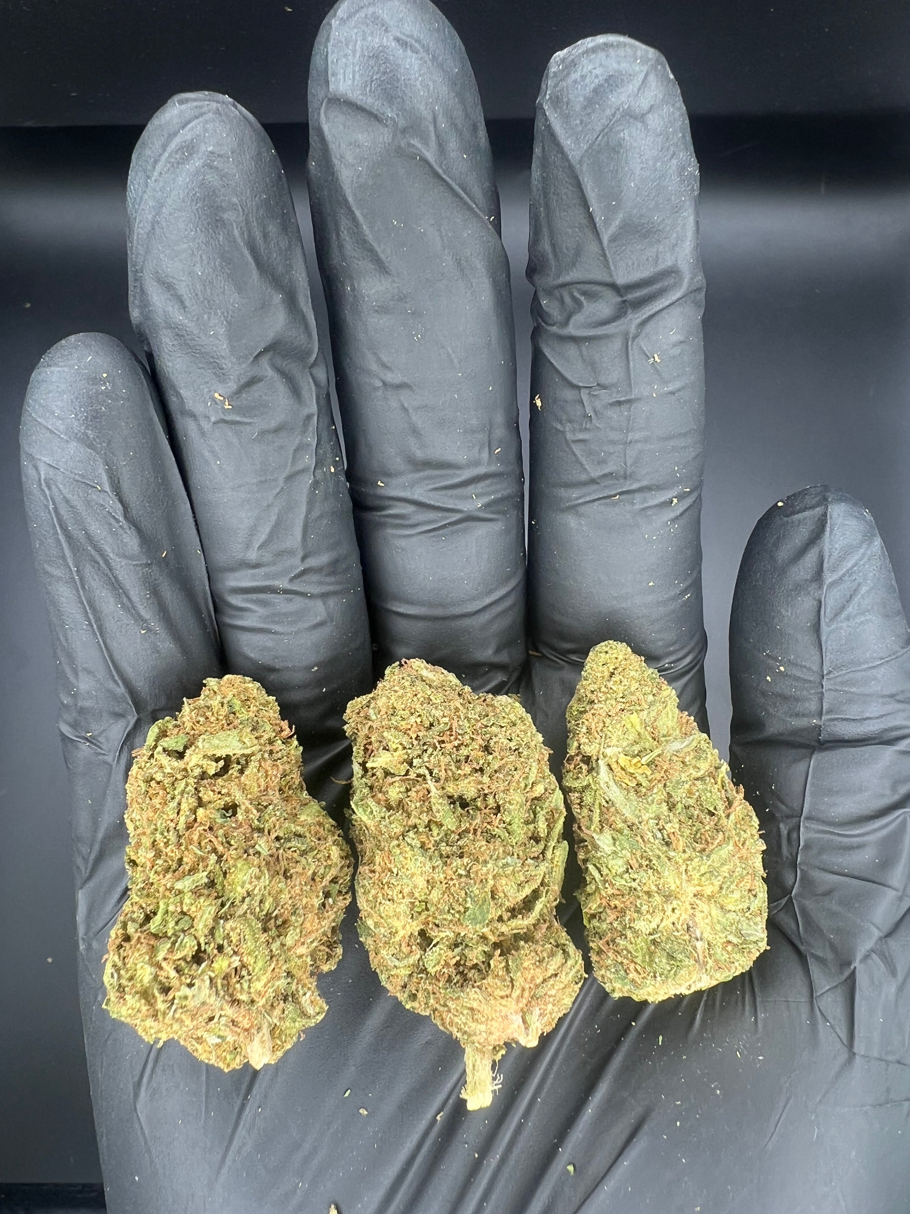 Blue Dream