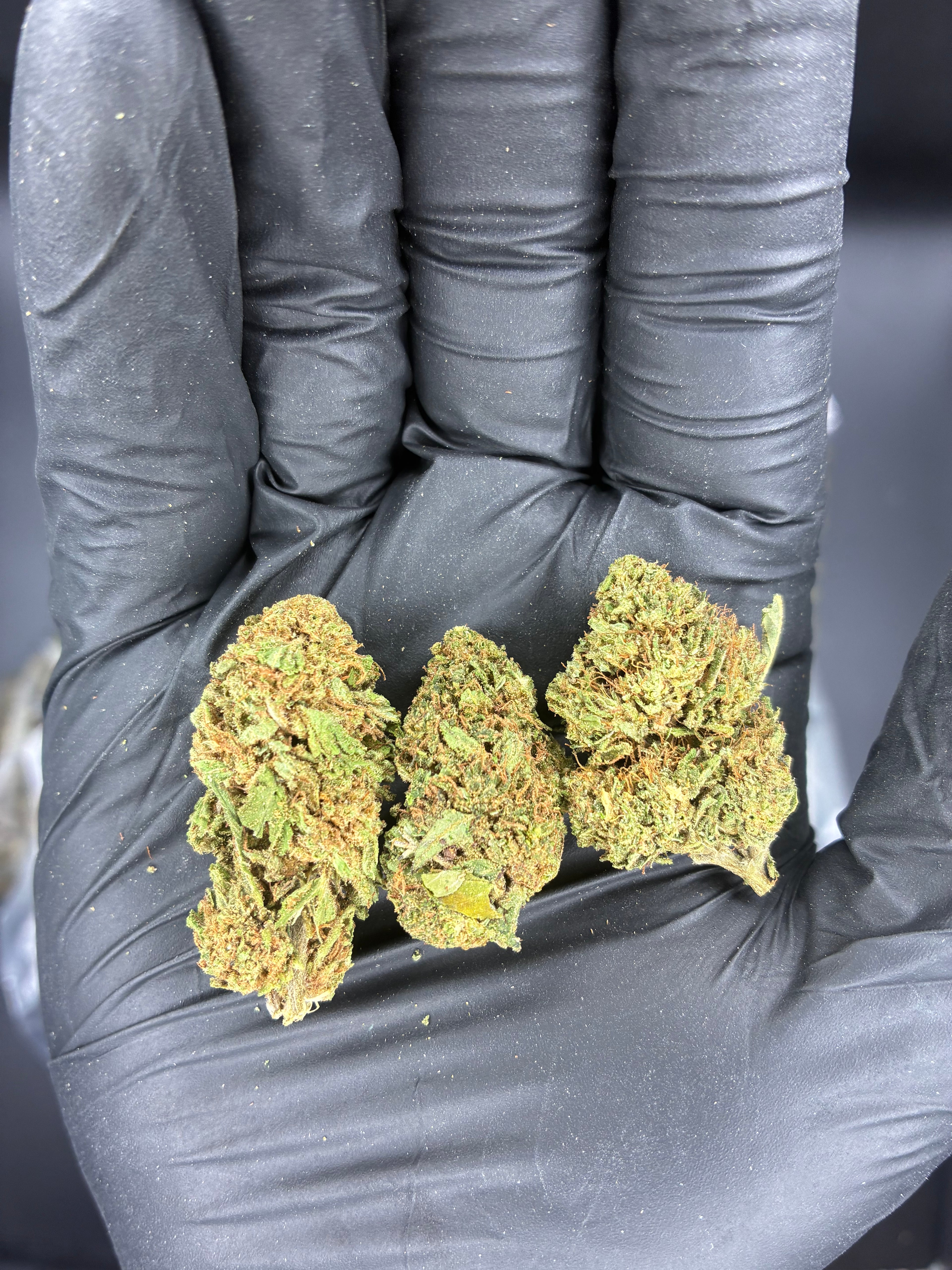 Exotic Mediums